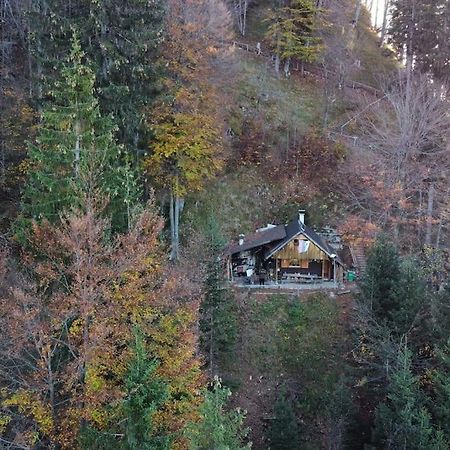 A Cottage In The Alps For Hiking, Cycling, Skiing Jesenice Exterior photo