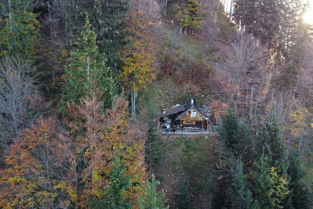 A Cottage In The Alps For Hiking, Cycling, Skiing Jesenice Exterior photo