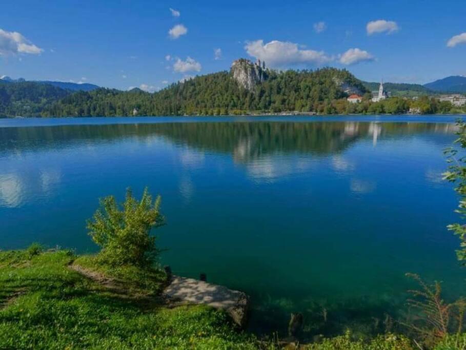 A Cottage In The Alps For Hiking, Cycling, Skiing Jesenice Exterior photo