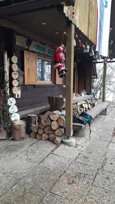 A Cottage In The Alps For Hiking, Cycling, Skiing Jesenice Exterior photo