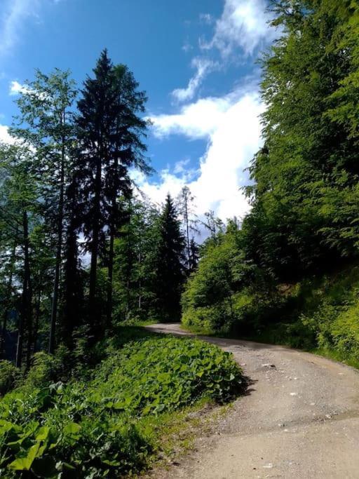 A Cottage In The Alps For Hiking, Cycling, Skiing Jesenice Exterior photo