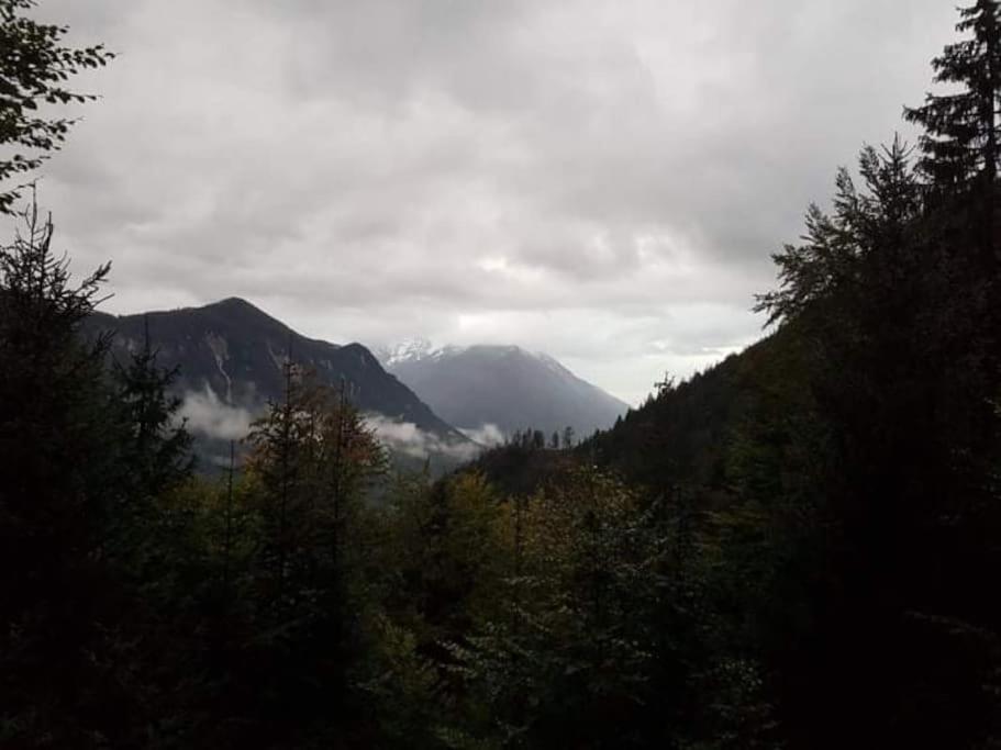 A Cottage In The Alps For Hiking, Cycling, Skiing Jesenice Exterior photo