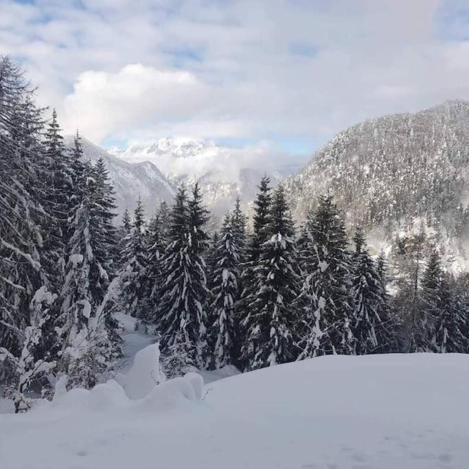 A Cottage In The Alps For Hiking, Cycling, Skiing Jesenice Exterior photo