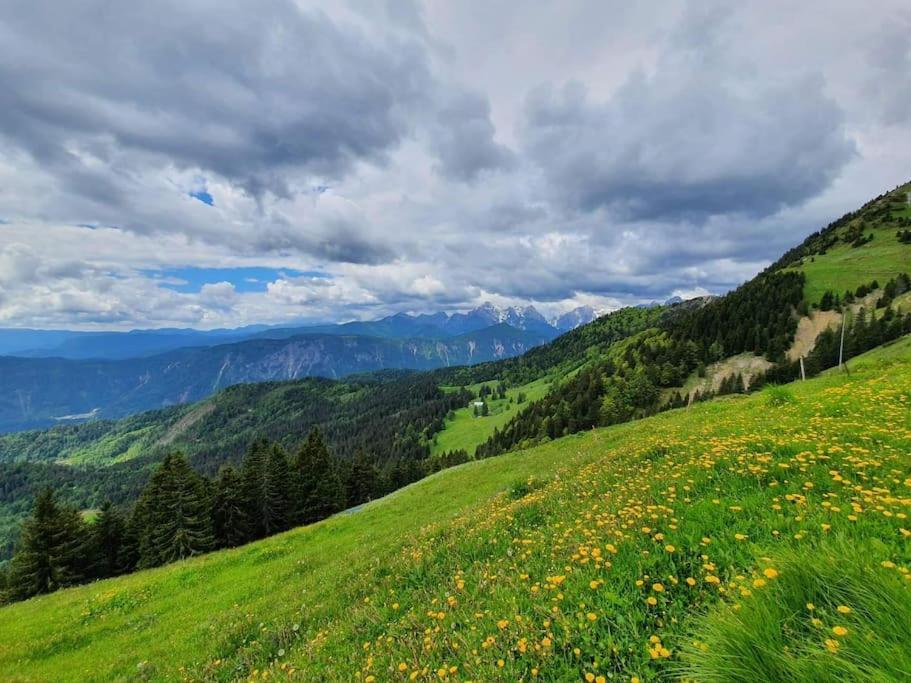 A Cottage In The Alps For Hiking, Cycling, Skiing Jesenice Exterior photo