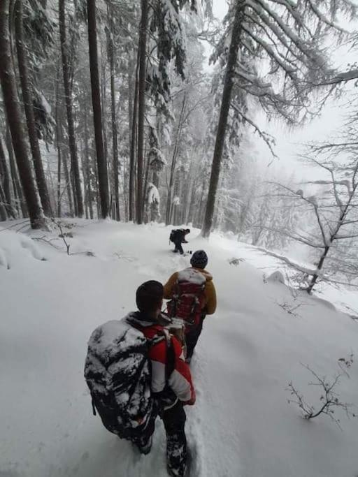 A Cottage In The Alps For Hiking, Cycling, Skiing Jesenice Exterior photo