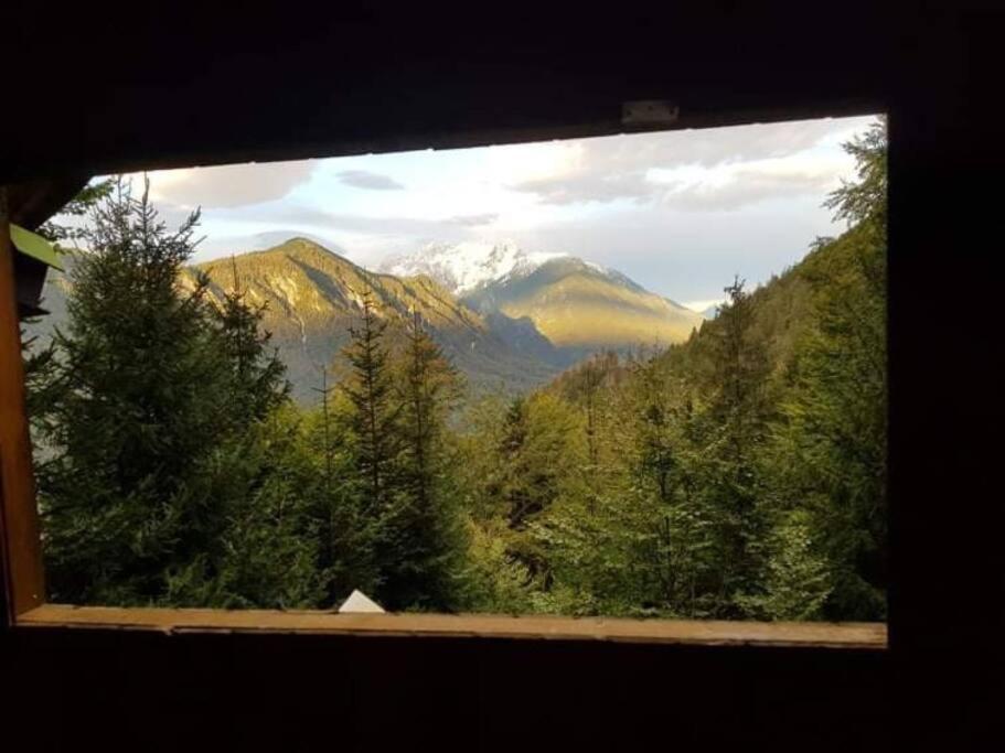 A Cottage In The Alps For Hiking, Cycling, Skiing Jesenice Exterior photo