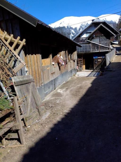 A Cottage In The Alps For Hiking, Cycling, Skiing Jesenice Exterior photo