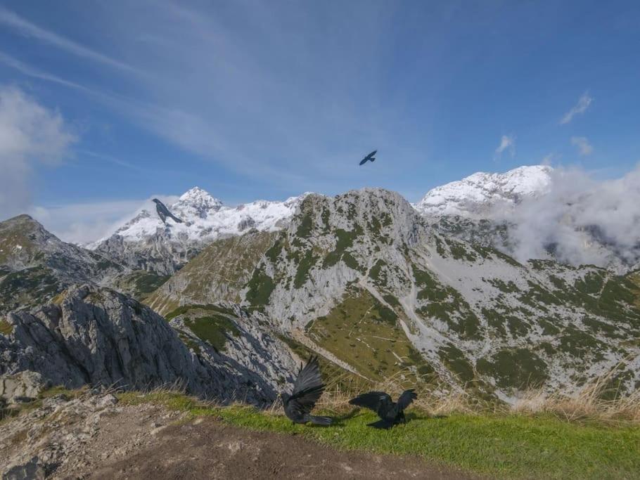 A Cottage In The Alps For Hiking, Cycling, Skiing Jesenice Exterior photo