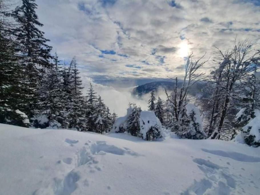 A Cottage In The Alps For Hiking, Cycling, Skiing Jesenice Exterior photo