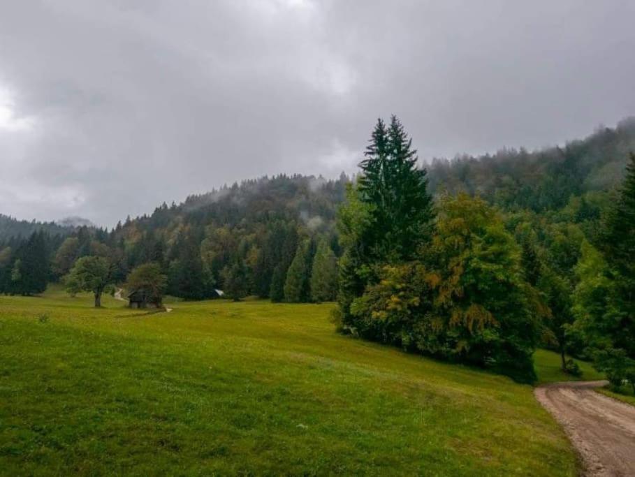 A Cottage In The Alps For Hiking, Cycling, Skiing Jesenice Exterior photo