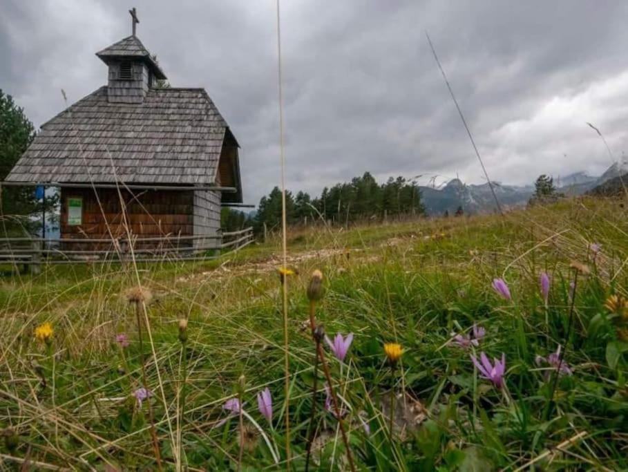 A Cottage In The Alps For Hiking, Cycling, Skiing Jesenice Exterior photo