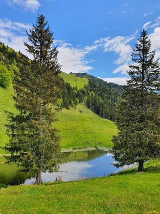 A Cottage In The Alps For Hiking, Cycling, Skiing Jesenice Exterior photo